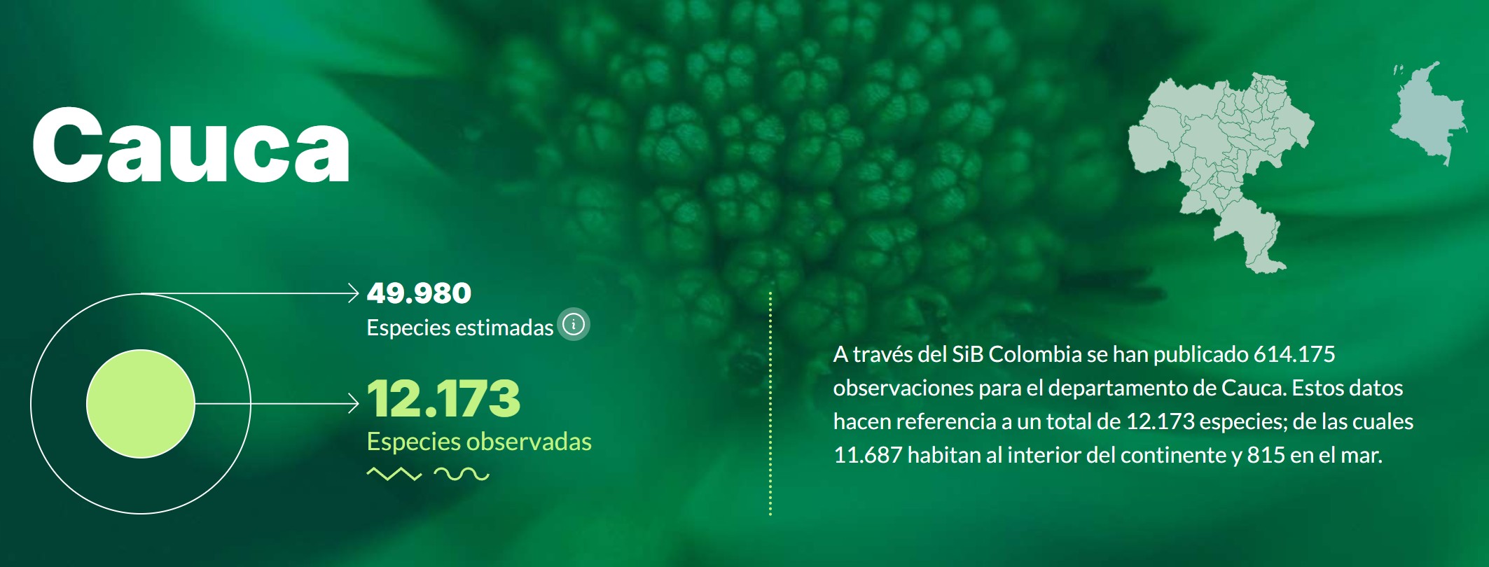 Biodiversidad en cifras