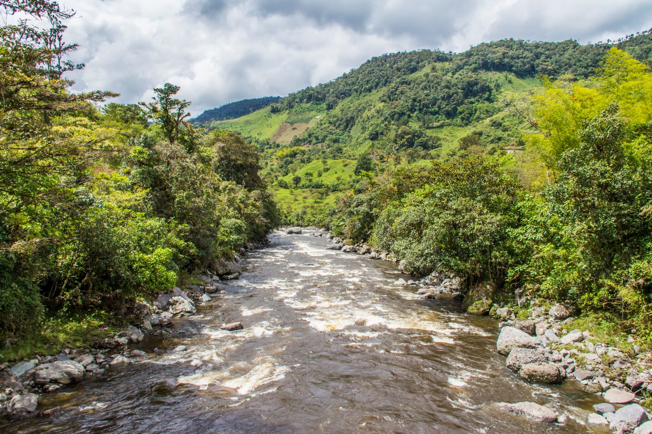 CONPES define estrategias para conservación y desarrollo sostenible del Macizo colombiano