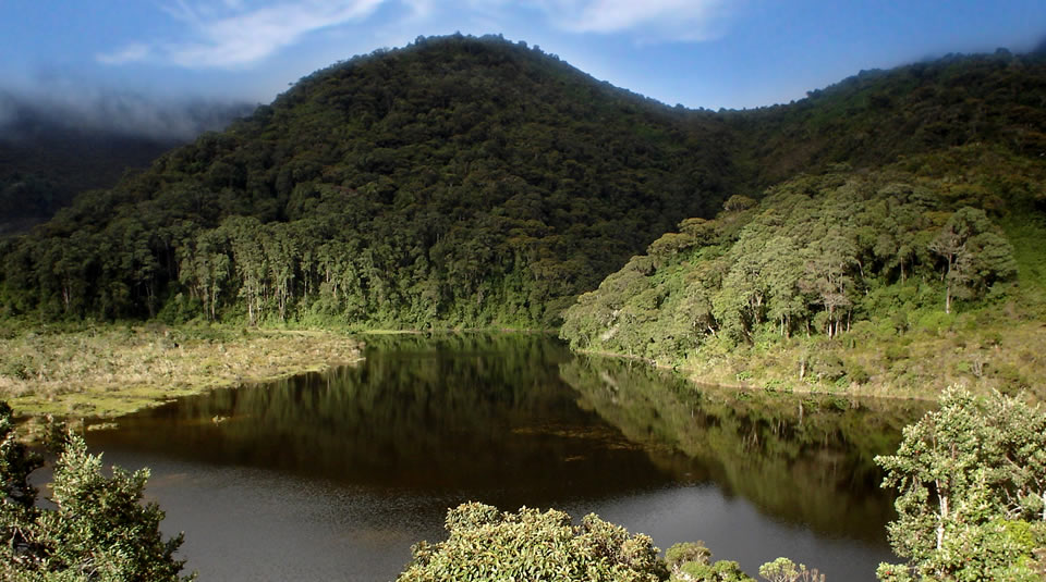 Cuatro complejos de páramos del Cauca fueron delimitados por el Ministerio de Ambiente en articulación con la CRC
