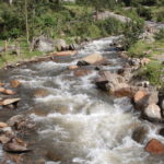 La Cumbre del Cauca en el Macizo, busca conservar el recurso hídrico