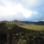 El camino del Macizo Colombiano