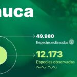 Cauca biodiversa